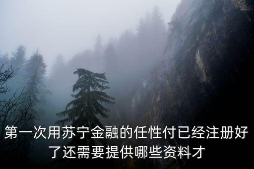 任性付要填寫什么，第一次用蘇寧金融的任性付已經(jīng)注冊好了還需要提供哪些資料才