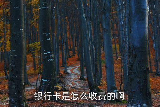 銀行卡是怎么收費(fèi)的啊