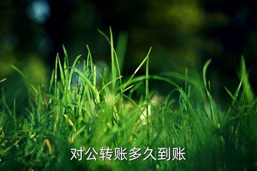 對(duì)公打款什么時(shí)候到賬，公對(duì)公轉(zhuǎn)帳多長時(shí)間到帳