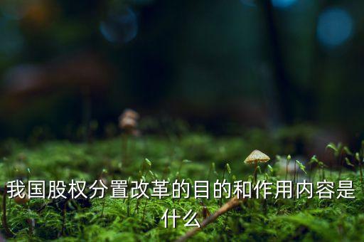 我國股權(quán)分置改革的目的和作用內(nèi)容是什么