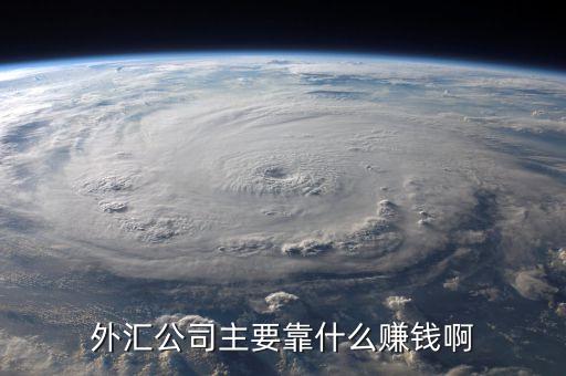 外匯公司主要靠什么賺錢啊