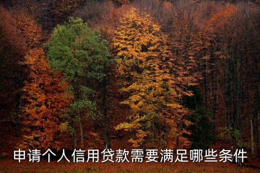 申請個人信用貸款需要滿足哪些條件