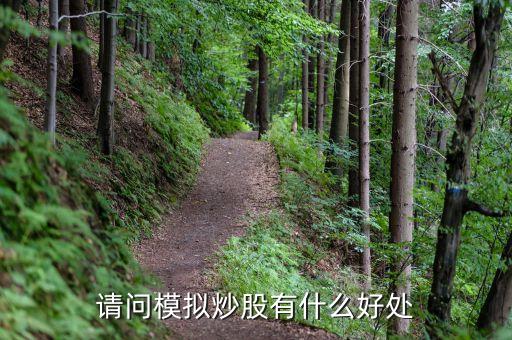 請問模擬炒股有什么好處