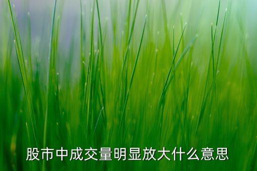 成交額大說明什么，股市中成交量明顯放大什么意思