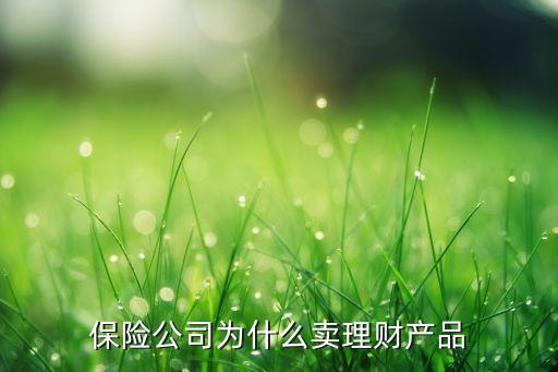 為什么 保險(xiǎn) 理財(cái)產(chǎn)品，保險(xiǎn)公司為什么賣理財(cái)產(chǎn)品