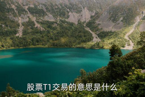 股票T1交易的意思是什么