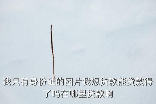 我只有身份證的圖片我想貸款能貸款得了嗎在哪里貸款啊