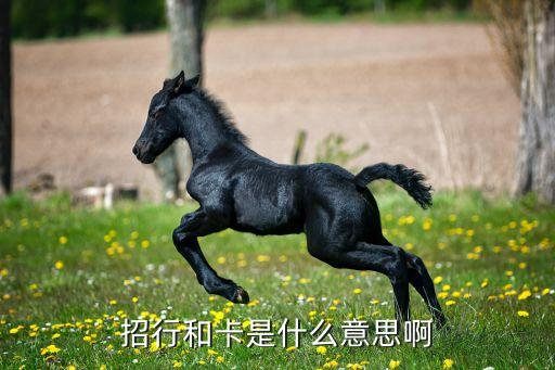 招行紀(jì)念版和卡是什么意思，招行和卡是什么意思啊