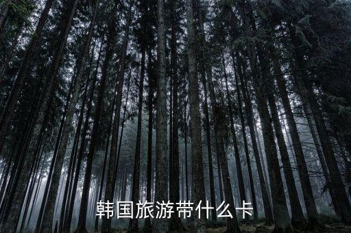 韓國(guó)旅游帶什么卡