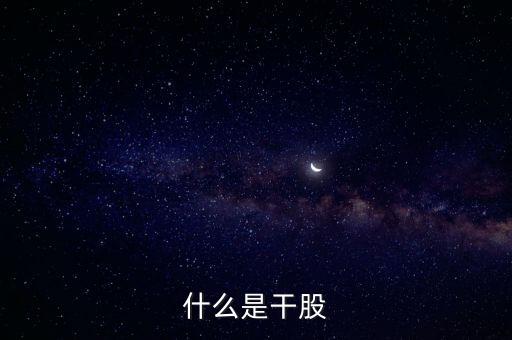 股份 干股 什么的，股份制干股意思