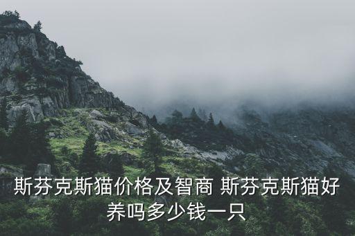 金錢貓叫什么貓，奧西貓奧西貓價格奧西貓多少錢一只奧西貓好養(yǎng)嗎