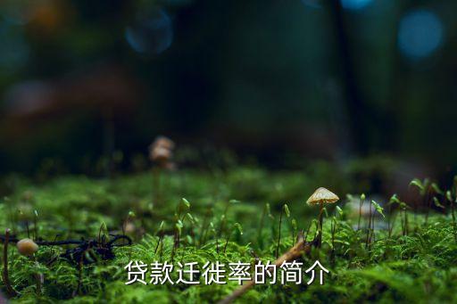 貸款遷徙率說明什么，請問五級分類遷徙率是什么