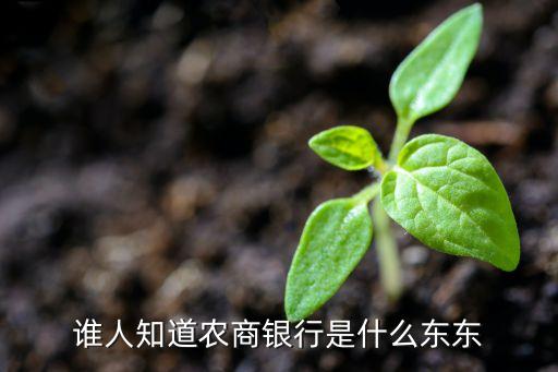 中國農(nóng)商銀行是什么，誰人知道農(nóng)商銀行是什么東東