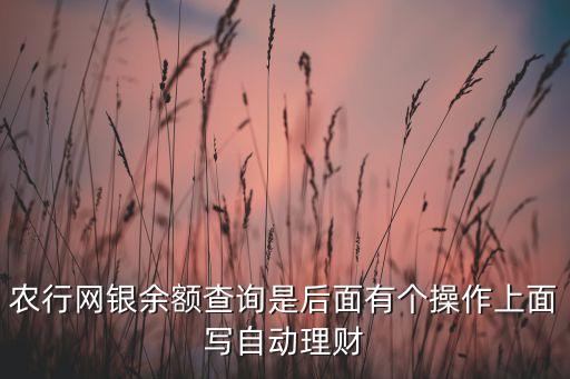 農(nóng)行自動(dòng)理財(cái)是什么，農(nóng)行網(wǎng)銀余額查詢(xún)是后面有個(gè)操作上面寫(xiě)自動(dòng)理財(cái)