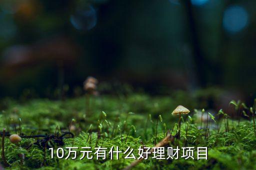 10萬元有什么好理財(cái)項(xiàng)目