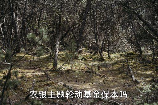 農(nóng)銀主題輪動(dòng)基金保本嗎