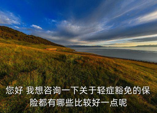 您好 我想咨詢一下關于輕癥豁免的保險都有哪些比較好一點呢