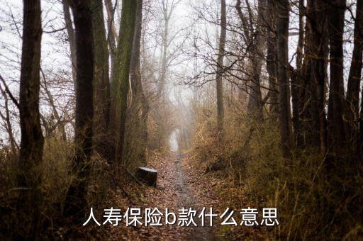 人壽保險b款什么意思