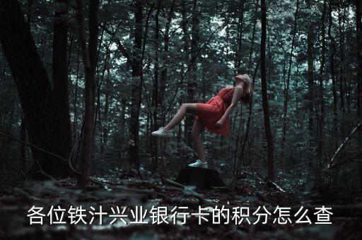 各位鐵汁興業(yè)銀行卡的積分怎么查