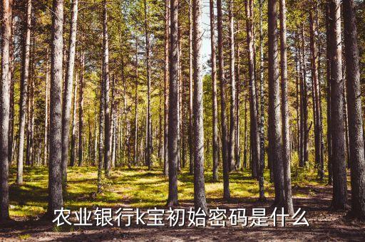 農行k寶首次登錄密碼是什么意思，農行網(wǎng)銀的初始登錄密碼是什么就是K寶密碼是什么急啊