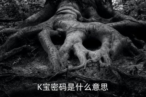 k寶第一次密碼是什么意思，K寶密碼是什么意思