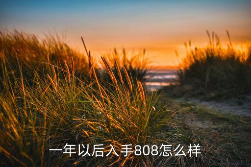 一年以后入手808怎么樣