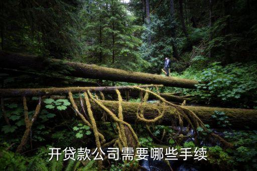 開借貸公司要什么條件，注冊信貸公司需要甚么條件