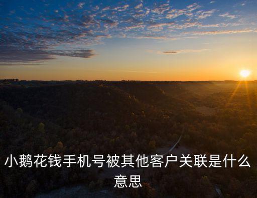 小鵝花錢手機號被其他客戶關(guān)聯(lián)是什么意思