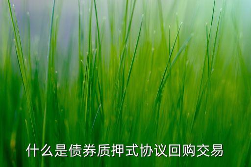 什么是債券質(zhì)押式協(xié)議回購交易