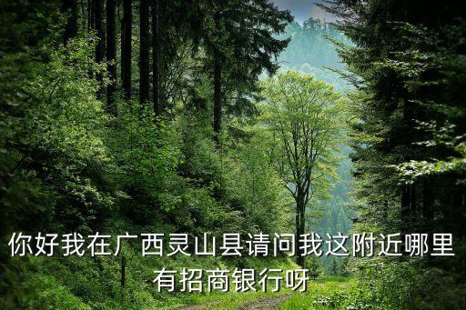 靈山有什么銀行，廣西靈山縣有北部灣銀行嗎