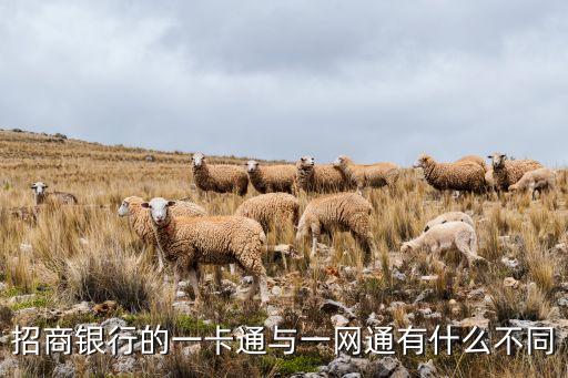 招行一網通是什么卡，招商銀行的一網通是一種信用卡還是一種信用卡業(yè)務如何辦理  搜