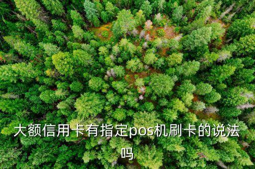 建行指定pos機(jī)什么意思，大額信用卡有指定pos機(jī)刷卡的說法嗎