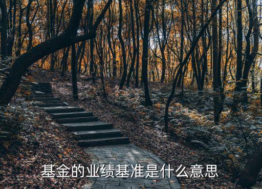 基金的業(yè)績基準是什么意思
