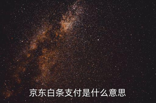 京東白條支付是什么意思