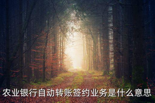 農(nóng)業(yè)銀行自動轉(zhuǎn)賬簽約業(yè)務(wù)是什么意思