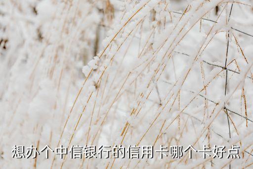 中信信用卡什么卡好申請(qǐng)信用卡，想辦張信用卡朋友建議中信的中信銀行信用卡哪種好點(diǎn)啊
