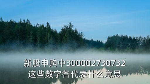 新股申購(gòu)中300002730732這些數(shù)字各代表什么意思
