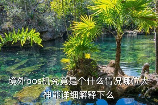 境外pos機(jī)究竟是個(gè)什么情況哪位大神能詳細(xì)解釋下么