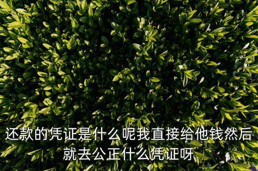 還貸憑證是什么，還款的憑證是什么呢我直接給他錢(qián)然后就去公正什么憑證呀