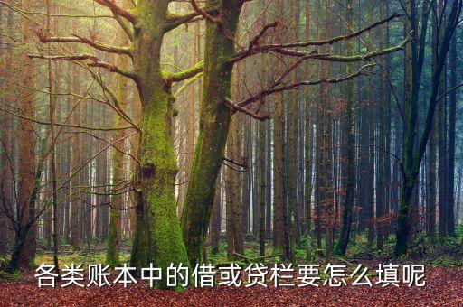 賬戶的借貸填入什么，會計總分類賬戶中那個借和貸在表中怎么區(qū)分該填借或者貸啊