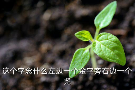 這個字念什么左邊一個金字旁右邊一個堯