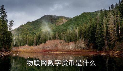 物聯(lián)網(wǎng)數(shù)字貨幣是什么