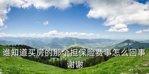 買房子為什么有擔(dān)保費(fèi)，誰(shuí)知道買房的那個(gè)擔(dān)保險(xiǎn)費(fèi)事怎么回事 謝謝