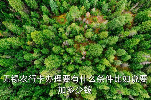 無錫辦銀行卡需要什么手續(xù)費，無錫建行 開戶 要手續(xù)費或工本費嗎 開網(wǎng)銀呢