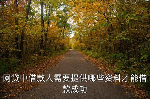 網(wǎng)上貸款需要什么信息，網(wǎng)上貸款需要什么資料