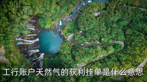 工行賬戶天然氣的獲利掛單是什么意思
