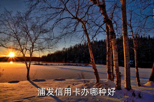 浦發(fā)信用卡什么卡好下，浦發(fā)銀行信用卡申請(qǐng)哪個(gè)卡比較好