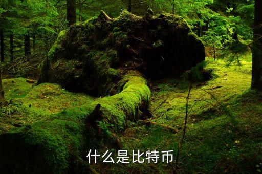 什么是比特幣