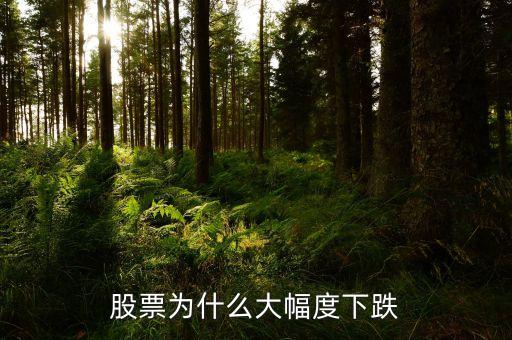 股票為什么大幅度下跌