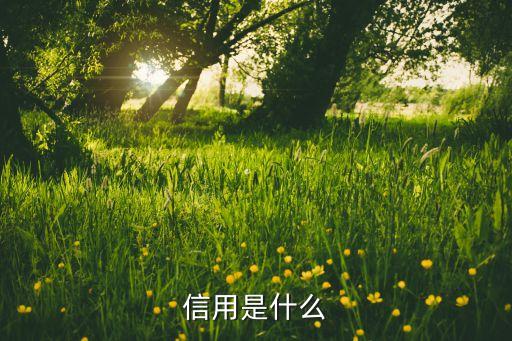 信用的含義是什么，信用什么意思